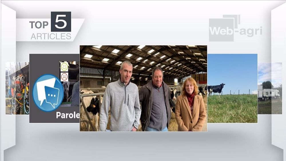  Articles les plus lus de la semaines sur Web-agri. (©Terre-net Média)