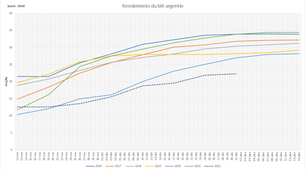 Les récoltes argentines ont révélé des rendements très faibles.