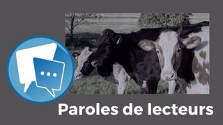 Et pour vous, 2022 était-elle un bon ou mauvais cru ? Répondez-nous en commentaires sous l'article.<br />(©Pixabay // Création Terre-net Média)