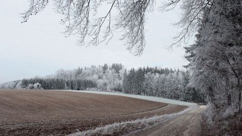 Le froid va faire son retour dès dimanche. (©Pixabay) Le froid va faire son retour dès dimanche. (©Pixabay)