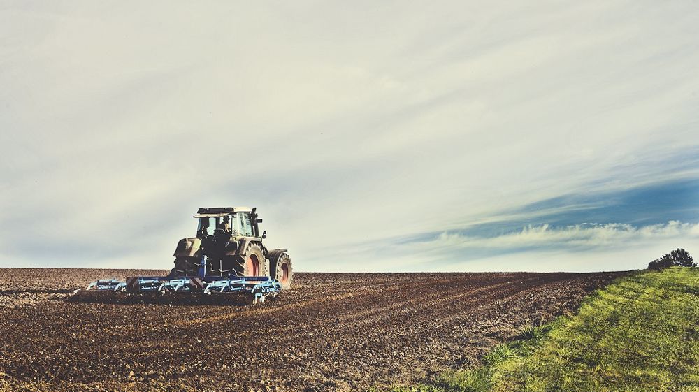  « La moitié de la fertilité actuelle en phosphore des sols provient du recours aux engrais minéraux », d'après Inrae et Bordeaux Sciences Agro. (©Pixabay)