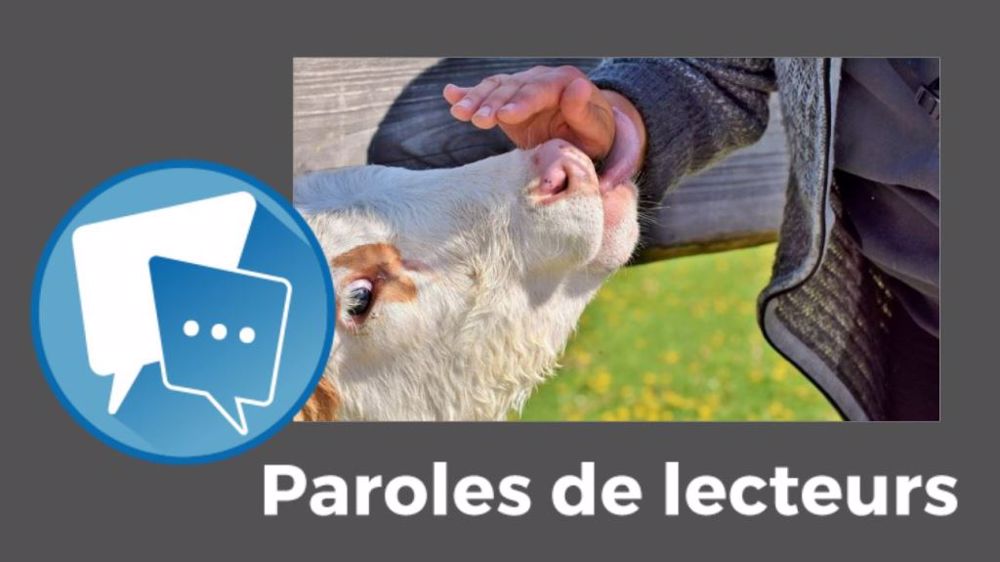 Quelles qualités reviennent le plus souvent ? (©Pixabay // Création Terre-net Média)