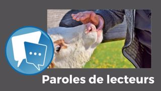 Quelles qualités reviennent le plus souvent ? (©Pixabay // Création Terre-net Média)