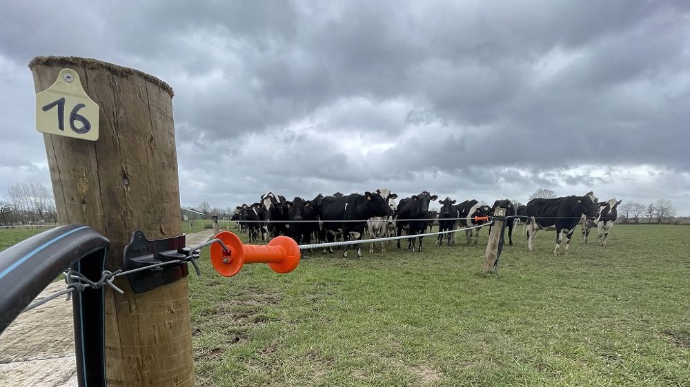 Les principaux points de fuite du courant se situent au niveau des barrières. (©Pâturesens)