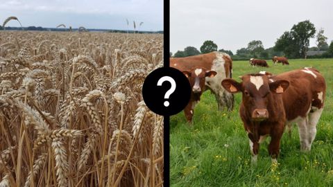 L'Institut de l'élevage a fourni les premières estimations de revenus pour les exploitations en bovins viande sur 2022 (©Terre-net Média) L'Institut de l'élevage a fourni les premières estimations de revenus pour les exploitations en bovins viande sur 2022 (©Terre-net Média)