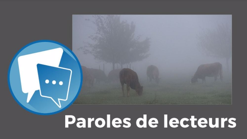  « La photo parle d'elle-même ! L'élevage français est dans le brouillard !!, lance Nn. (©Pixabay // Création Terre-net Média)