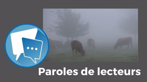  « La photo parle d'elle-même ! L'élevage français est dans le brouillard !!, lance Nn. (©Pixabay // Création Terre-net Média)