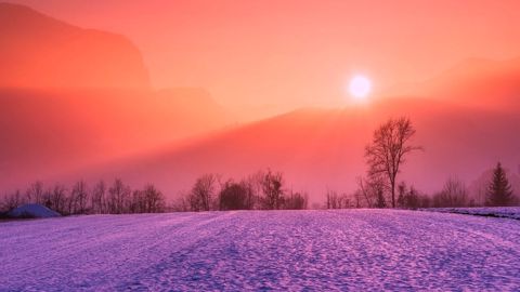 Une partie du blé US dans le Kansas profite d'un manteau neigeux. (©Pixabay) Une partie du blé US dans le Kansas profite d'un manteau neigeux. (©Pixabay)