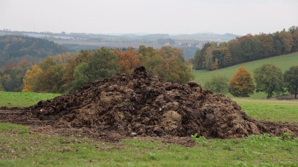 Une bonne gestion de l'herbe passe aussi par sa fertilisation. (©Pixabay)<span style="font-size: 14px; text-align: justify; color: #000000;"> 