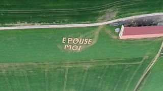 L'amour est vraiment dans le pré chez les éleveurs ! L'amour est vraiment dans le pré chez les éleveurs !