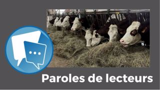 Et vous ? Avez-vous assez de stock fourrager pour finir l'hiver ? Partagez votre situation en commentaire sous l'article. (©Terre-net Média)