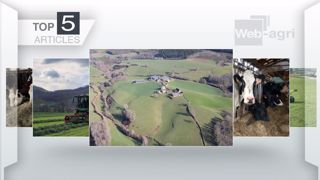Articles les plus lus sur Web-agri cette semaine. (©Terre-net Média)