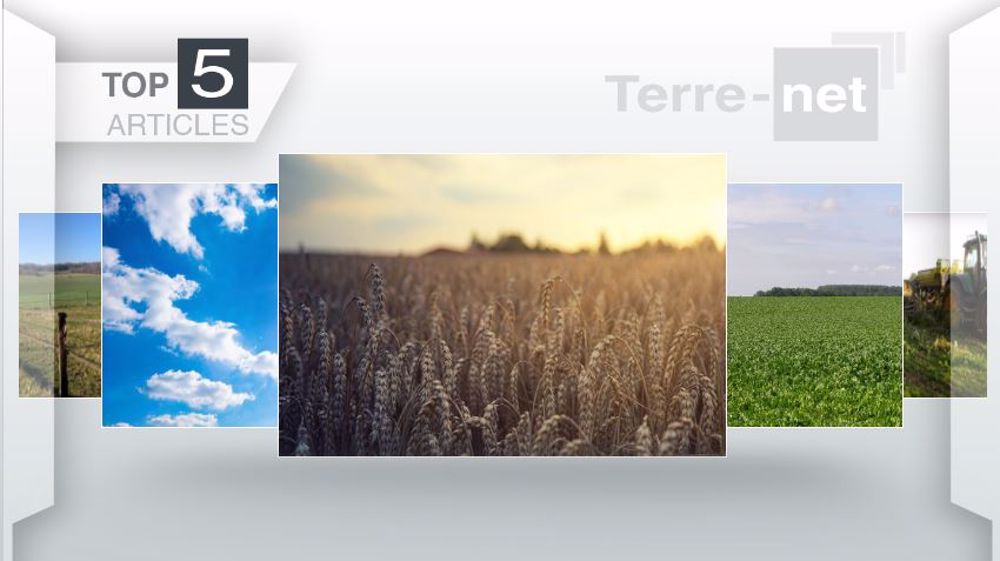 Articles les plus lus sur Terre-net cette semaine. (©Terre-net Média