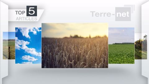 Articles les plus lus sur Terre-net cette semaine. (©Terre-net Média