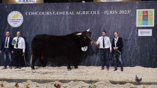 Mylène et Pacific, grands champions du concours Salers Mylène et Pacific, grands champions du concours Salers