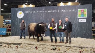 Nestor et Hermine remportent le concours Aubrac Nestor et Hermine remportent le concours Aubrac