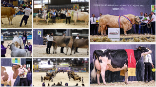 Palmarès, photos, live et replays des concours bovins Palmarès, photos, live et replays des concours bovins