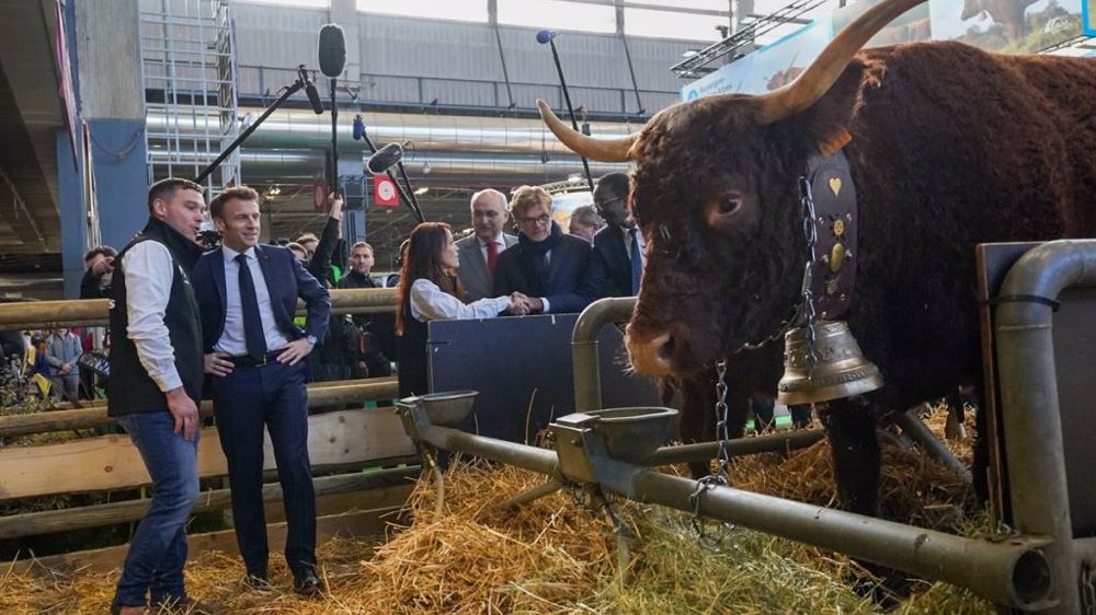 Devant l'égérie de race Salers de cette édition 2023 du Sia, Emmanuel Macron a effectué samedi 25 février son traditionnel marathon inaugural du salon. (©Emmanuel Macron)