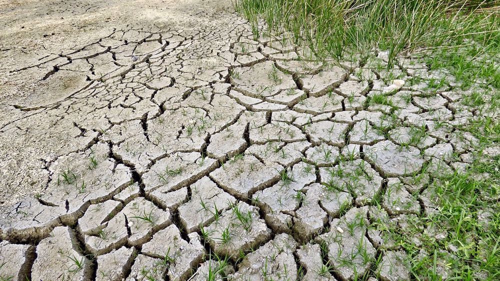 7 % des surfaces cultivées sont irriguées en France. (©Pixabay)