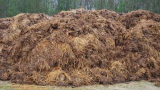 Pour éviter les pertes d'azote, phosphore et potasse, ne stockez pas vos fumiers dehors avant deux mois de maturation. (©Terre-net Média)