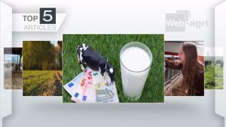 Articles les plus lus sur Web-agri cette semaine. (©Terre-net Média)