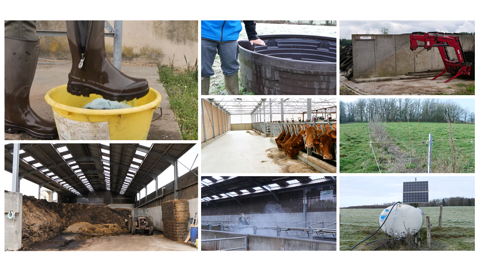 Les astuces d'éleveurs pour améliorer la biosécurité