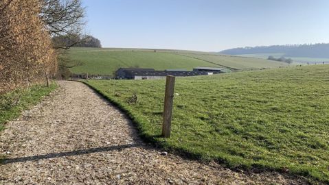 Exploitation de Gautier Fihue