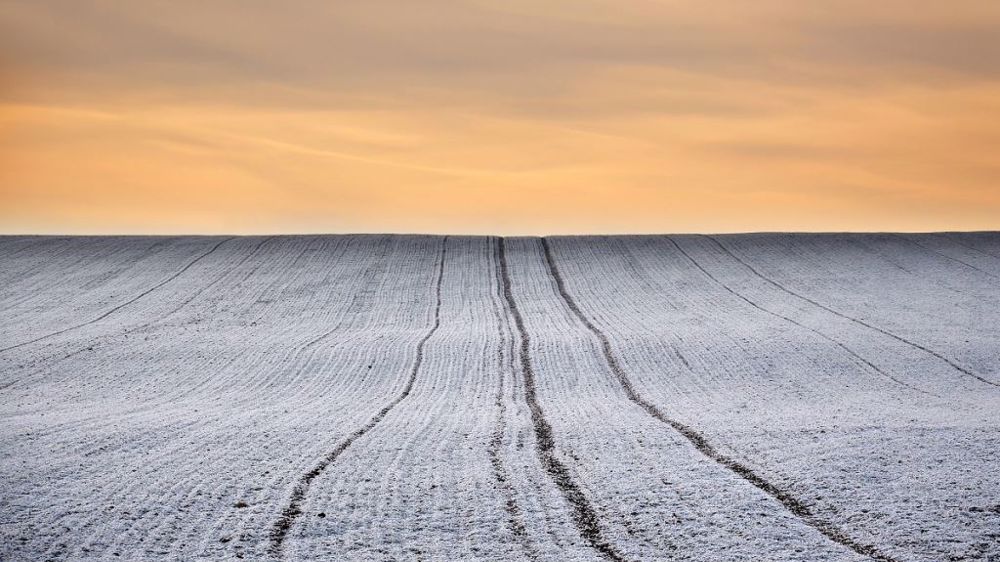 Le blé HRW américain a subi une nouvelle chute des températures critique. (©Pixabay)