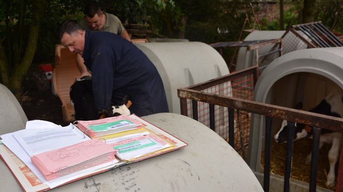 Pour les éleveurs dont les ASDA étaient bloquées, impossible de vendre des animaux. Et cela a duré 18 mois pour un éleveur qui obtient enfin gain de cause. (©Terre-net Média)