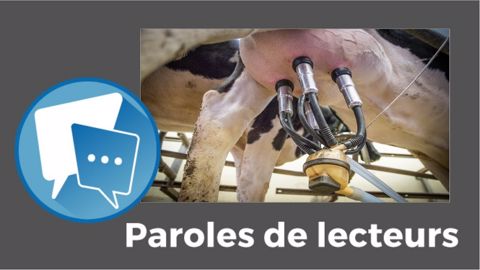 Selon vous, comment la production laitière va évoluer en 2023 ? (©Pixabay // Création Terre-net Média)