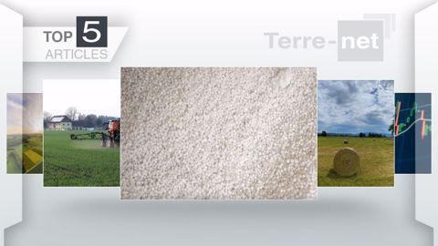 Les cinq articles les plus lus de la semaine sur Terre-net (©Terre-net Média)