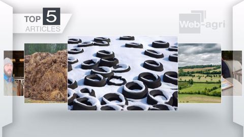 Articles les plus lus sur Web-agri cette semaine. (©Terre-net Média)