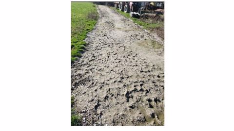 Chemin en coquille st jacques