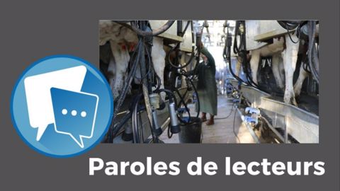 Et vous, que répondriez-vous à la question de stephclaud ? Exprimez-vous dans les commentaires.<br />(©Pixabay // Création Terre-net Média)