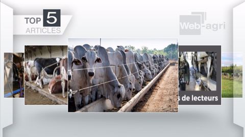 Articles les plus lus sur Web-agri cette semaine. (©Terre-net Média) Articles les plus lus sur Web-agri cette semaine. (©Terre-net Média)