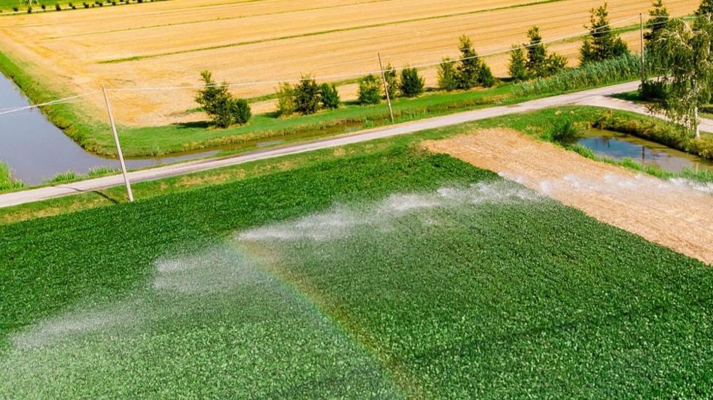 Dans son avis adopté le 11 avril, le Cese propose plusieurs recommandations pour une gestion durable de l'eau. (©Pixabay)