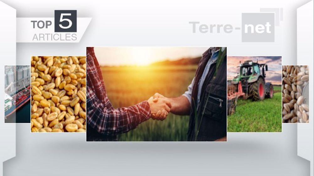 Articles les plus lus sur Terre-net cette semaine. (©Terre-net Média)