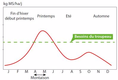 Courbe de croissance d'une graminée