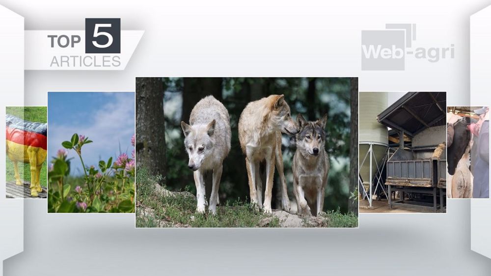 Articles les plus lus cette semaine sur Web-agri. (©Terre-net Média)