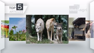 Articles les plus lus cette semaine sur Web-agri. (©Terre-net Média)