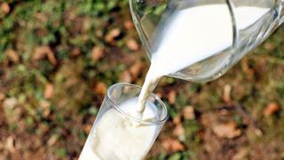 En hausse de 11 % entre 2020 et 2021, la collecte de lait bio n'a augmenté que de 2,7 % entre 2021 et 2022 (©Pixabay) En hausse de 11 % entre 2020 et 2021, la collecte de lait bio n'a augmenté que de 2,7 % entre 2021 et 2022 (©Pixabay)
