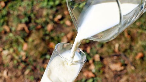 En hausse de 11 % entre 2020 et 2021, la collecte de lait bio n'a augmenté que de 2,7 % entre 2021 et 2022 (©Pixabay) En hausse de 11 % entre 2020 et 2021, la collecte de lait bio n'a augmenté que de 2,7 % entre 2021 et 2022 (©Pixabay)
