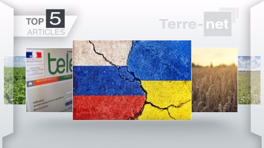 Articles les plus lus sur Terre-net cette semaine. (©Terre-net Média)