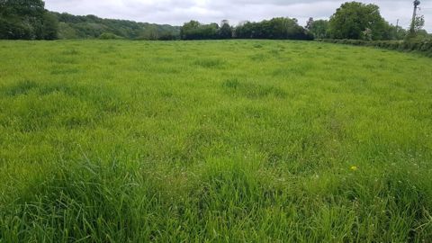 Prairie débrayée pour la fauche