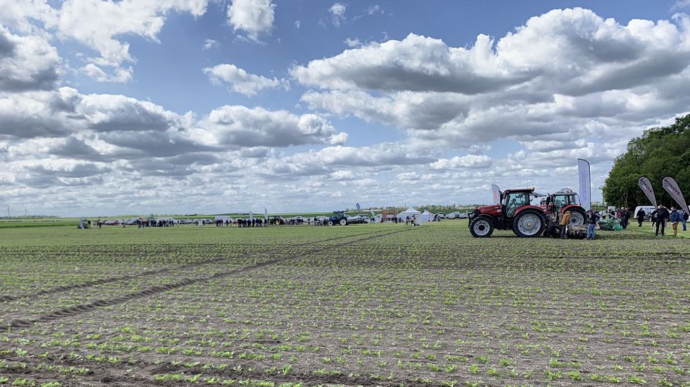 Désherb'Avenir met en avant tous les 2 ans les solutions alternatives au désherbage tout chimique, avec des démonstrations au champ. (©Terre-net Média)