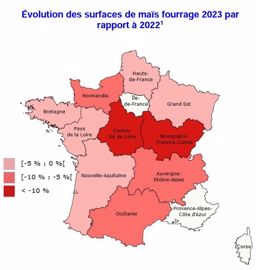 Évolution des surfaces de maïs fourrage par rapport à 2022. 