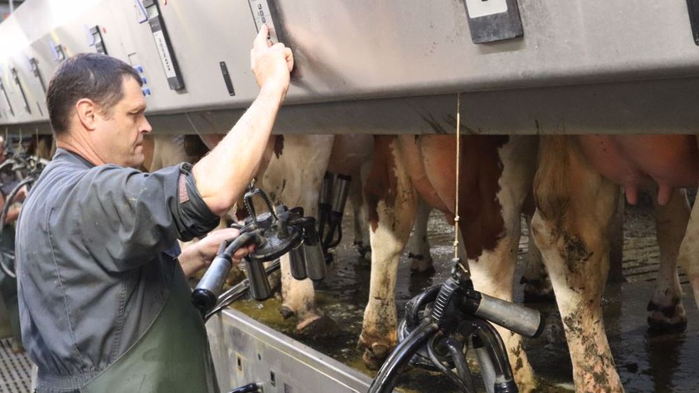 Laurent Dupraz, est éleveur laitier producteur d'Emmental de Savoir IGP et président de la coopérative « Les fermiers savoyards ». (©Gaec les 2 vallées)