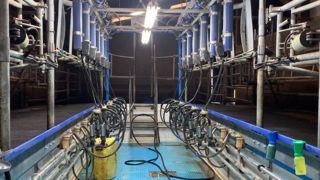 Au-delà des produits, la température de lavage de l'installation de traite est très importante. Un défaut de température peut conduire à un développement de microorganismes. (©Terre-net Média) Au-delà des produits, la température de lavage de l'installation de traite est très importante. Un défaut de température peut conduire à un développement de microorganismes. (©Terre-net Média)