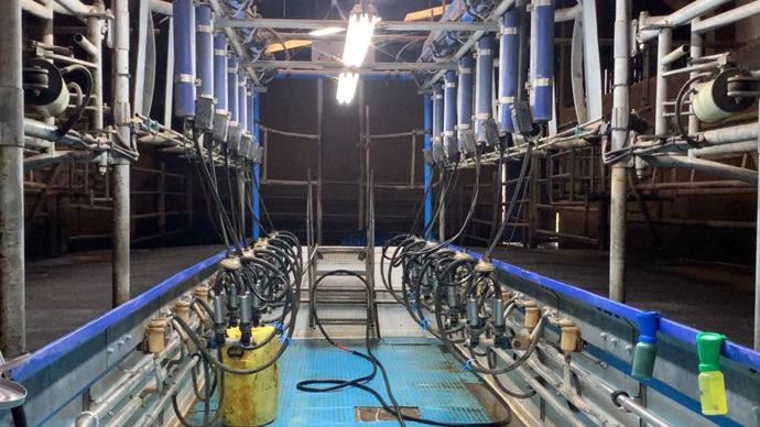 Au-delà des produits, la température de lavage de l'installation de traite est très importante. Un défaut de température peut conduire à un développement de microorganismes. (©Terre-net Média)