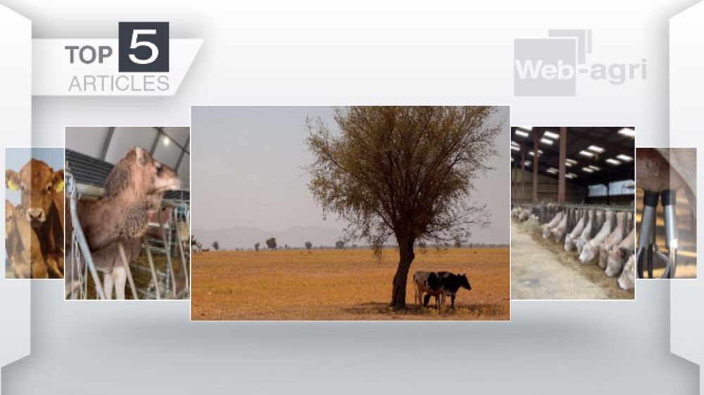Articles les plus lus sur Web-agri cette semaine (©Terre-net Média)